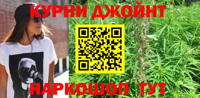 PSILOCYBIN Бийск
