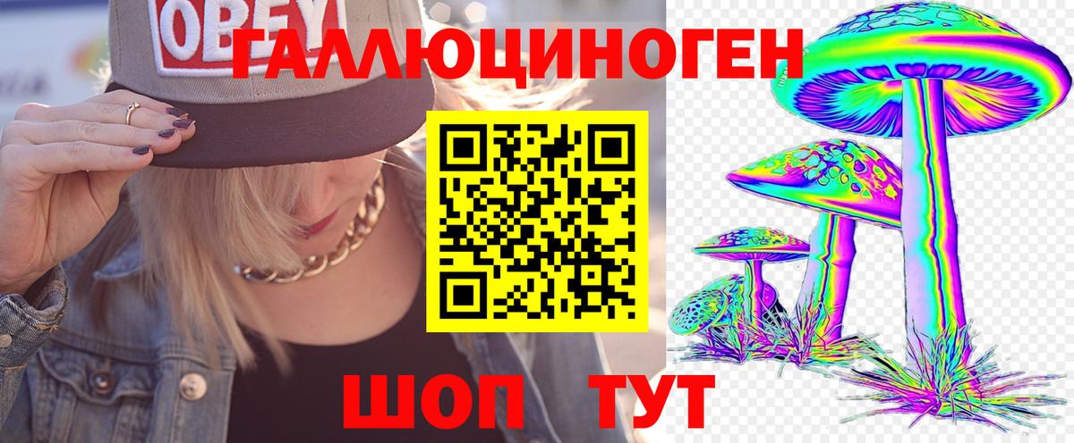 Псилоцибиновые грибы Psilocybine cubensis  где можно купить   Лабытнанги  Псилоцибиновые грибы GOLDEN TEACHER  Вход с VPN 